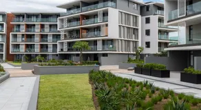 Gorgeous Coral Point Sibaya W403 - Image 5