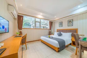 Palm Island Hotel (Hechuan Jinma Plaza) - Image 5