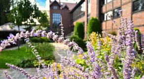 Stara Szkoła Boutique Hotel - Image 5