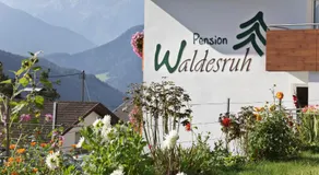 Pension Waldesruh - Image 5