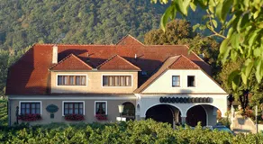 Weingut-Pension Stockingerhof - Image 2