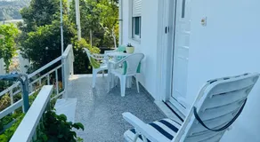 Lemon tree's house - Image 3