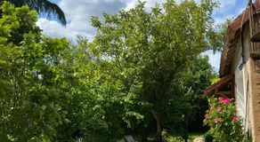La Suzannerie - Image 3
