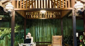 Wisma Lovebird - Image 3