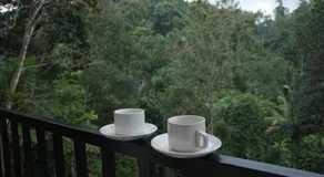 Elenji Merry Woods Resort, Munnar, ##SWIMMING POOL## - Image 5