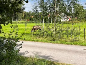 person holiday home in HOVA - Image 2