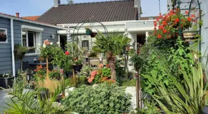 Mon petit paradis - Image 5
