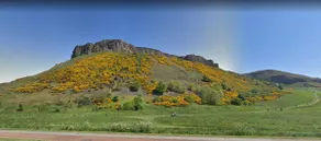 Lovely Central 1BR Flat Next To Holyrood Park - Image 4