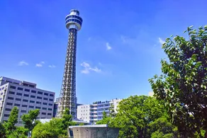 ANNEX SUEHIRO - Image 5