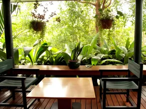 Rainforest Eco Lodge - Image 3