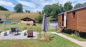 Ferienwohnung/Monteurwohnung im schönen Odenwald - Image 5