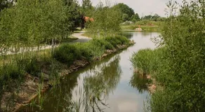 Centrum Aktywnego Wypoczynku Borek - Image 3
