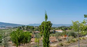 Casa Sol - Image 5