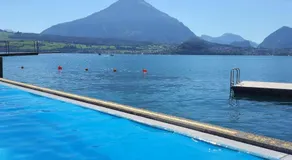 Lake Thun Alps Scenic Views and Concierge by SwissHut - Image 3
