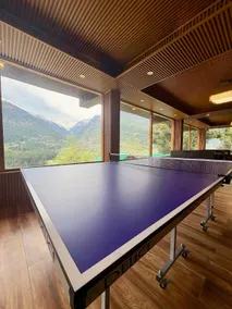 Hotel Naina Rockland , Manali - Image 3