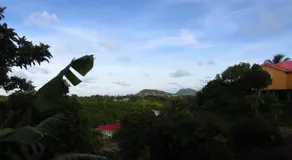 Herelle's Eden - Image 5