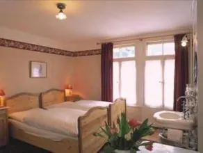Historic Hotel Falken - Image 3