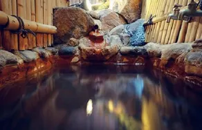 NOZARU ONSEN HOSTEL - Image 2