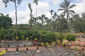 Green Pearl Homestay - Image 4