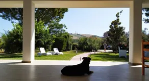 Pizzacalla - Image 3