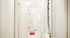 Casina modesta - Image 3