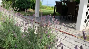 Villa Lena - Image 5