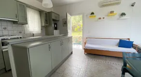 Andros Vineyard house with sea view - Image 3