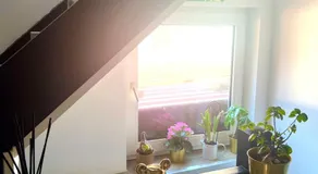 Maison Lounge - Image 4