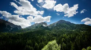 Berggasthof Trattes - Image 5