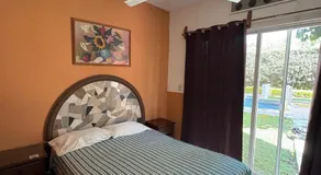 Palmas - Image 2