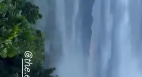 The EDGE Paradise - Image 4