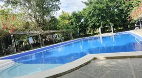 Manalo Resort Hotel - Image 4
