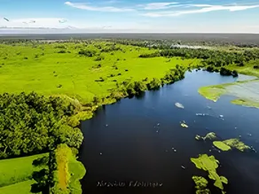 Bird View Resort Anawilundava - Image 5