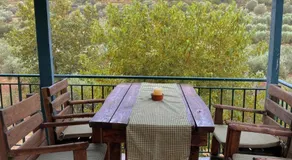 Estate Tsiati - Κτήμα Τσιάτη - Image 4