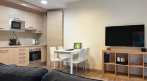 Apartaments La Farga Arbúcies - Image 2