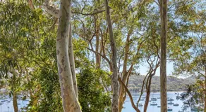 The Treehouse Avalon - Image 5