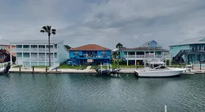 Dolphin Paradise - Image 4