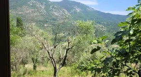 Magnifique roulotte - Image 5