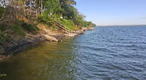 Cananéia Apoio Tours - Image 3