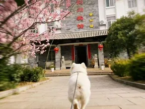 Jianchuan Hotel - Image 2