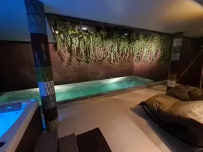 Afternoon Spa Retreat for Couples, Groups, Parties - Image 3