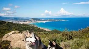 TheVVstory ,, Lovely Home Stay - Close to town and Nature - Image 5