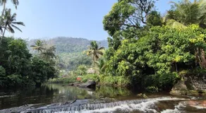 Mamalakandam - The White house, Diya homestay - Image 5