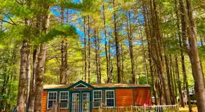 Quechee Pine Valley Campground - Image 5