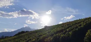 Cosy and quiet private place in Central Valais - Image 3