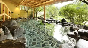 Oyama Ryokan Tochinoki Onsen - Image 3