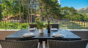 Deluxe Apartments Kovac with Terrace - Image 3