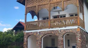 ALPHA - Image 4