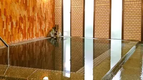 Daionji Onsen Banshokaku - Image 3