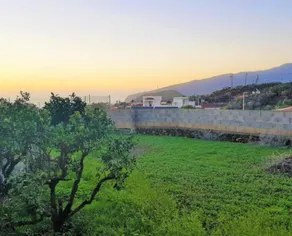 107112 - House in Los Llanos - Image 3